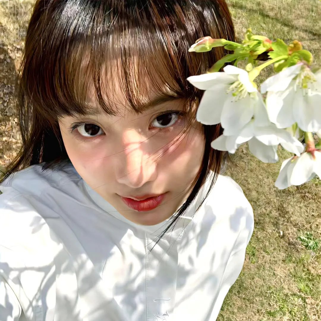 花落之后又一春